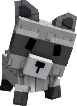 Raccoon